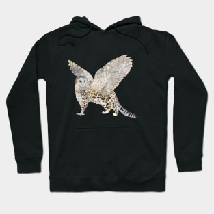 Griffin Hoodie